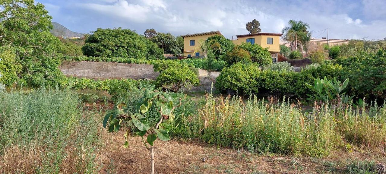 Casa Eco Rural rodeada de naturaleza y vistas,WIFI La Orotava Exterior foto