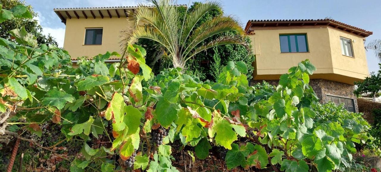 Casa Eco Rural rodeada de naturaleza y vistas,WIFI La Orotava Exterior foto